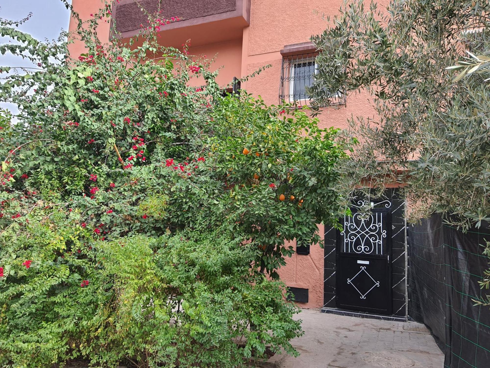 Marrakech Plus Μαρακές Εξωτερικό φωτογραφία